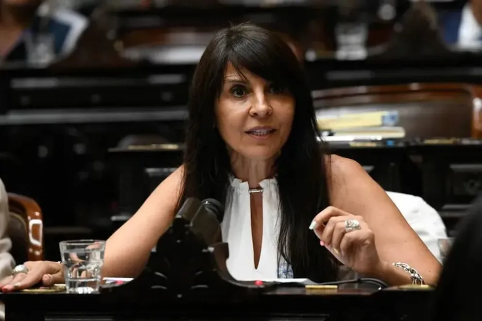 La actual diputada y senadora electa, Lorena Villaverde.