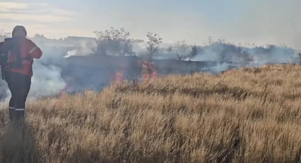 El trabajo fue intenso y se logró controlar la situación. 