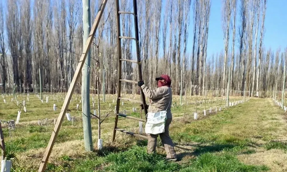 El trabajo de las mujeres es siempre elogiado por su dedicación y prolijidad.