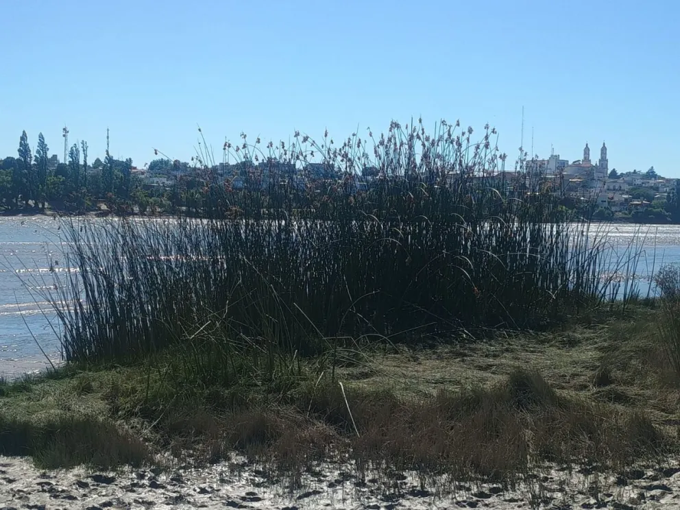 Fotos del sector entre Álvaro Barros y Colón de Viedma.