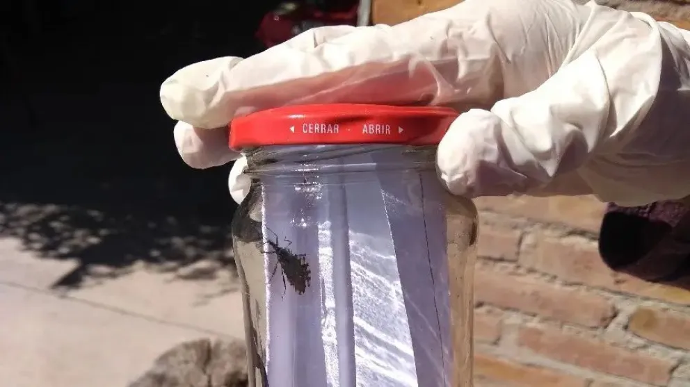 Foto: Gobierno de Río Negro.