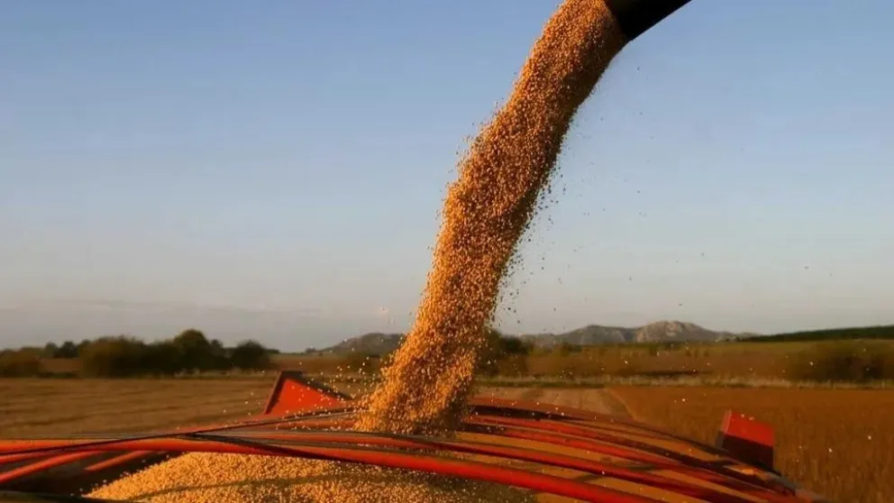 La rebaja de las retenciones a soja y derivados. Foto BAE. 