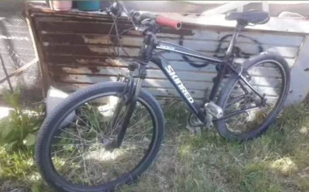 Lanzó una campaña para recuperarla. Foto gentileza.