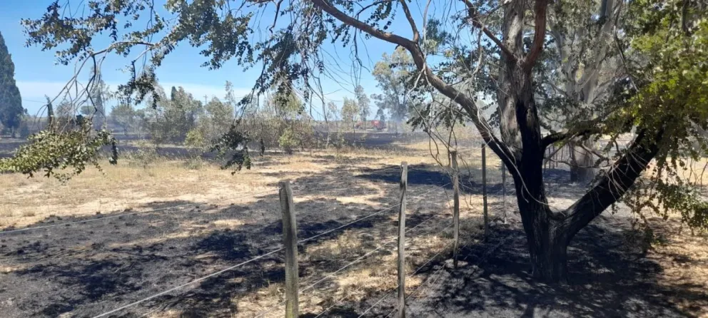 Un llamado al cuartel, activó el protocolo de incendios. Foto: Bomberos de Viedma. 