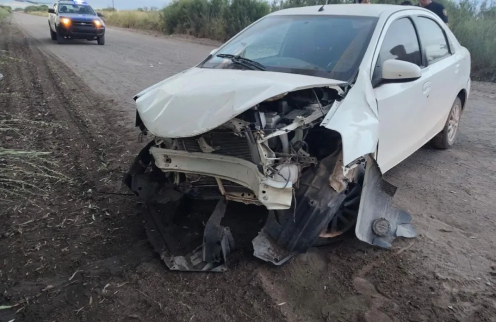 Se lo llevó un carretón. Foto gentileza Policía comunal.