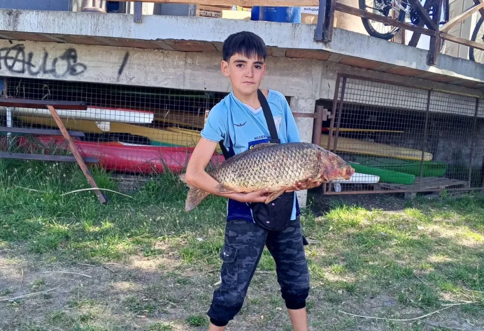 "Maxi" no lo cuenta, lo muestra. Foto gentileza.