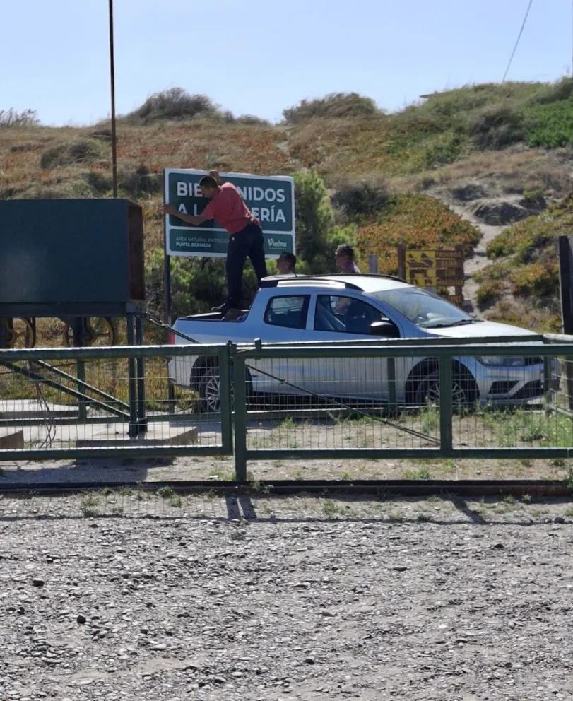 Sector donde se produjo el accidente. Foto archivo.