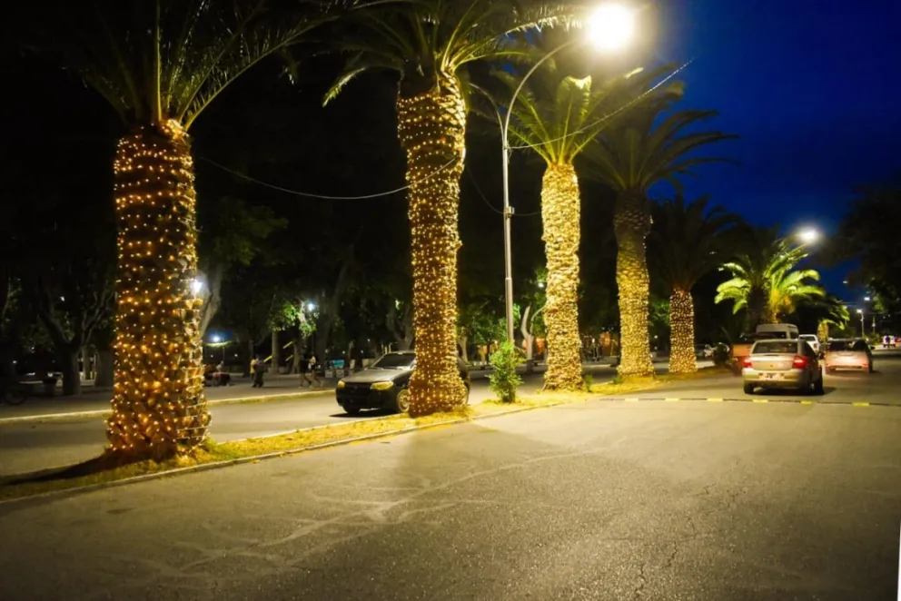 Palmeras Iluminadas de Viedma. 