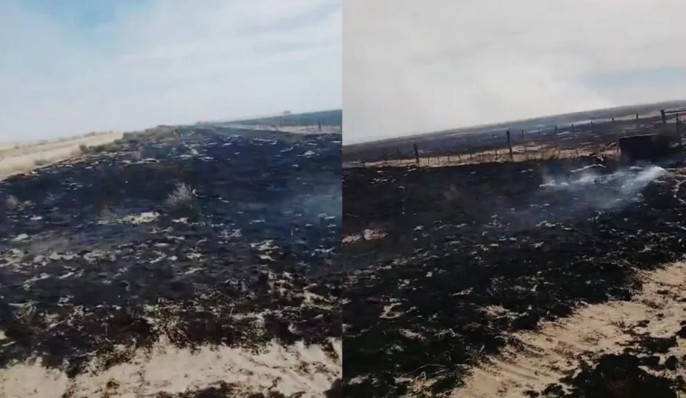 Las tareas se desarrollan en un campo ubicado a 20 kilómetros de la capital provincial. 