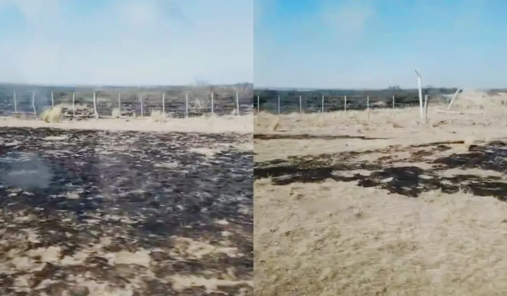 Bomberos trabajaron durante varias horas para evitar su propagación. Fotos: Bomberos de Viedma. 