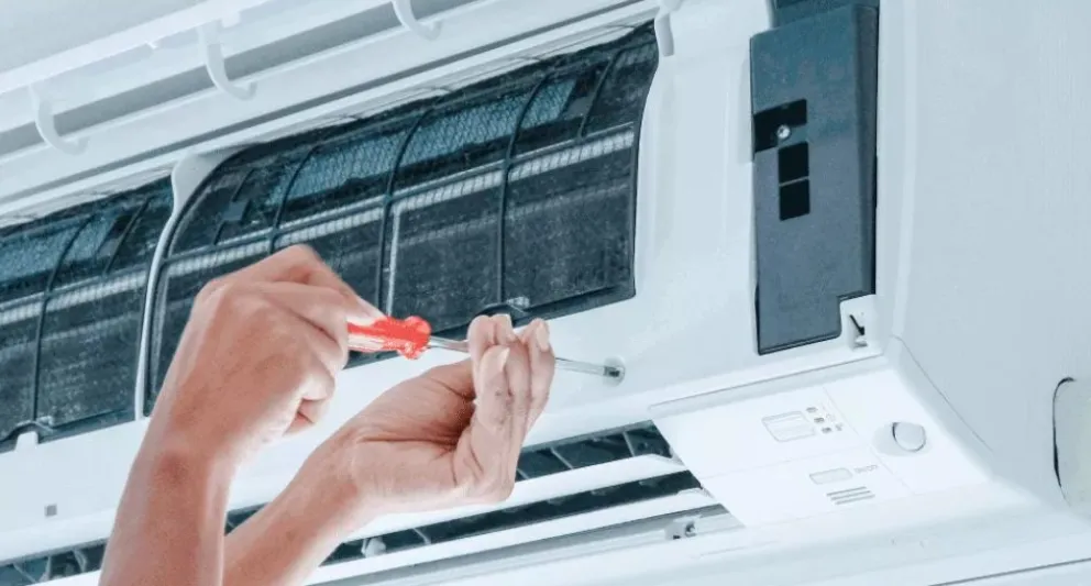 El referente local Alejandro Malfatti, explicó cómo trabajan para cubrir la demanda. 