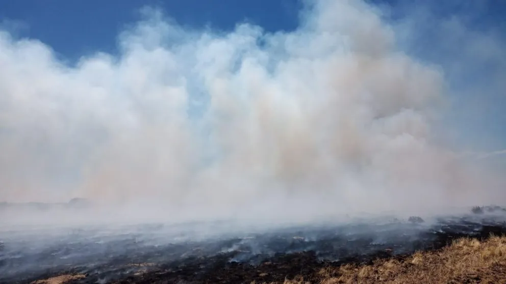 Las imágenes corresponden al incendio en el establecimiento San José. 
