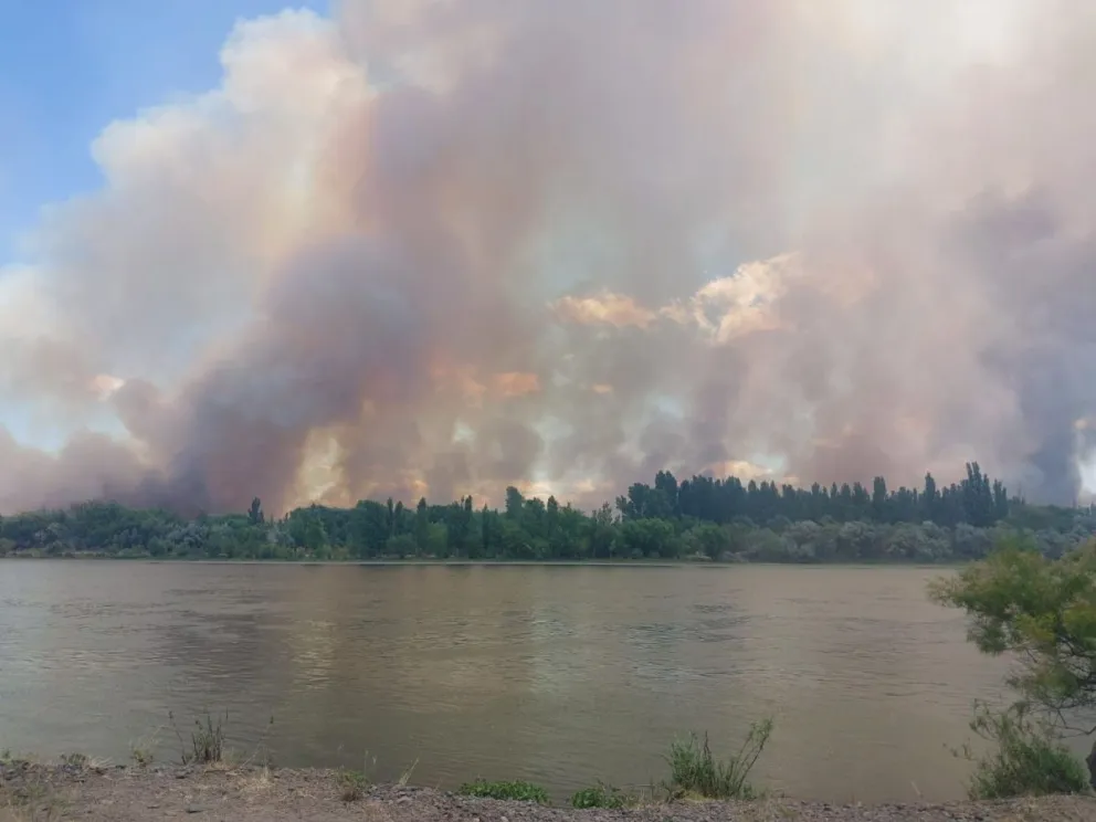 Luego de varios días de emergencia, el personal que trabajó en la zona pudo controlar el fuego (Foto: gentileza)