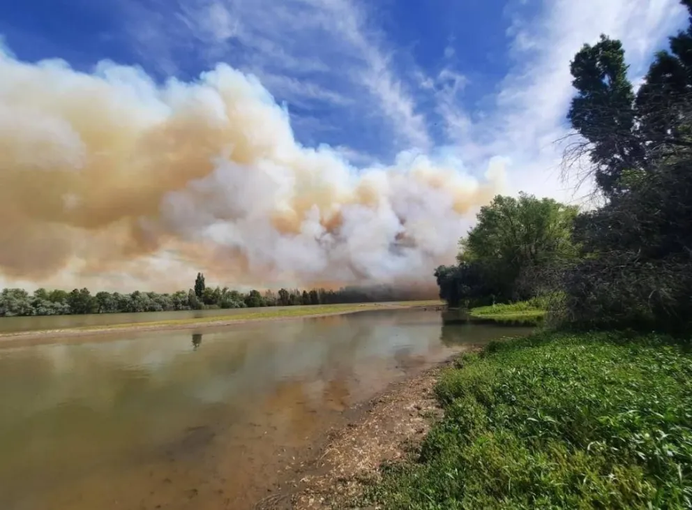 Los responsables podrían enfrentar penas de hasta 6 años de prisión.