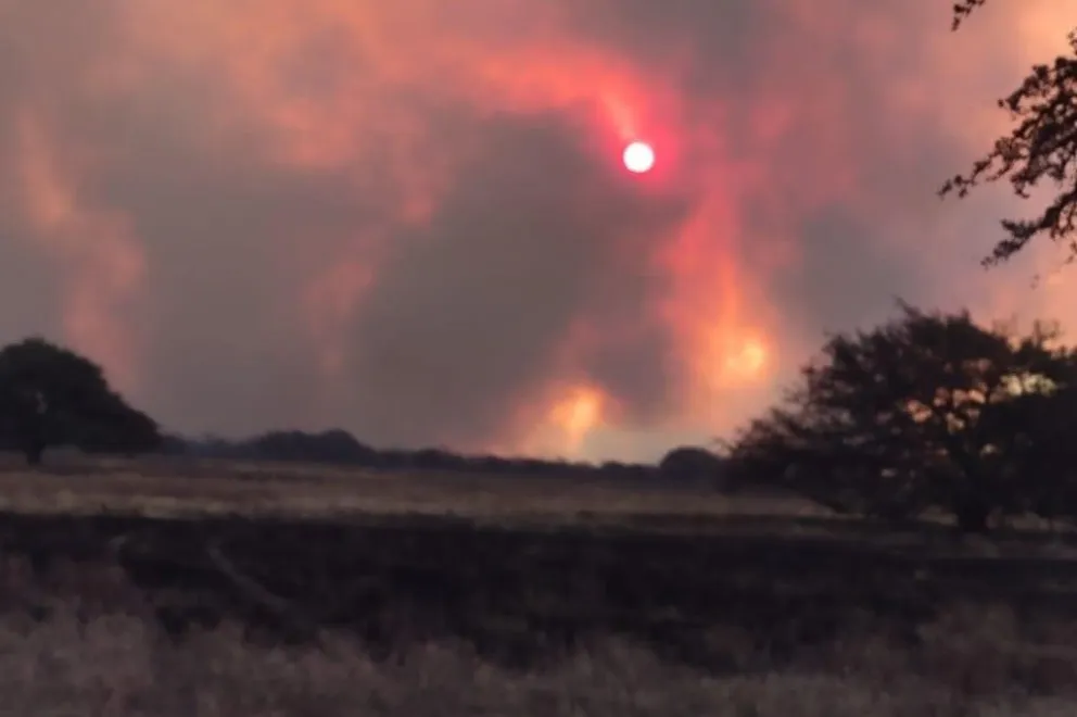 Según explicaron, las tareas de control se ven complejizadas por la densa vegetación natural.