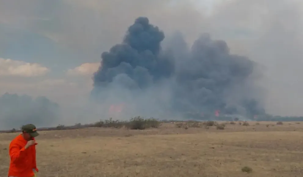 Casi 1.800 hectáreas fueron afectadas por las llamas. Foto Gobierno de Río Negro.