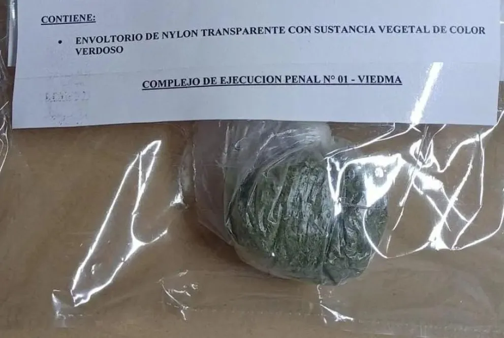 Bolsa con sustancia verdosa. Foto Gobierno de Río Negro.