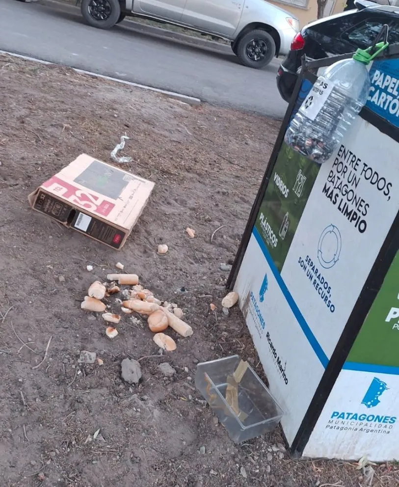 Mucha gente deja la basura a los costados cuando los contenedores se llenan 