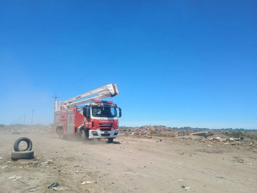 Intenso trabajo. Fotos Vanesa Schwemmler para NoticiasNet.