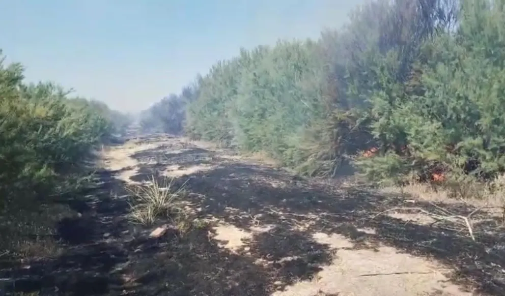 Así quedó uno de los sectores afectados por las llamas. 