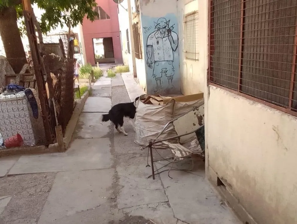 El paso que deben tomar los vecinos para ir a sus casas suele estar cortado por objetos y mugre 