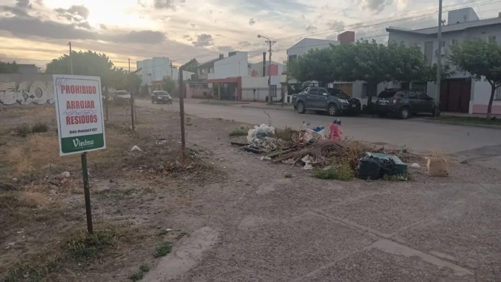 Microbasurales y ruidos molestos encabezan el listado de consultas.