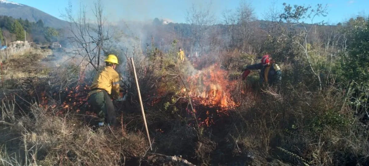 El SPLIF respondió a numerosos llamados en Bariloche y detectó 13 ...