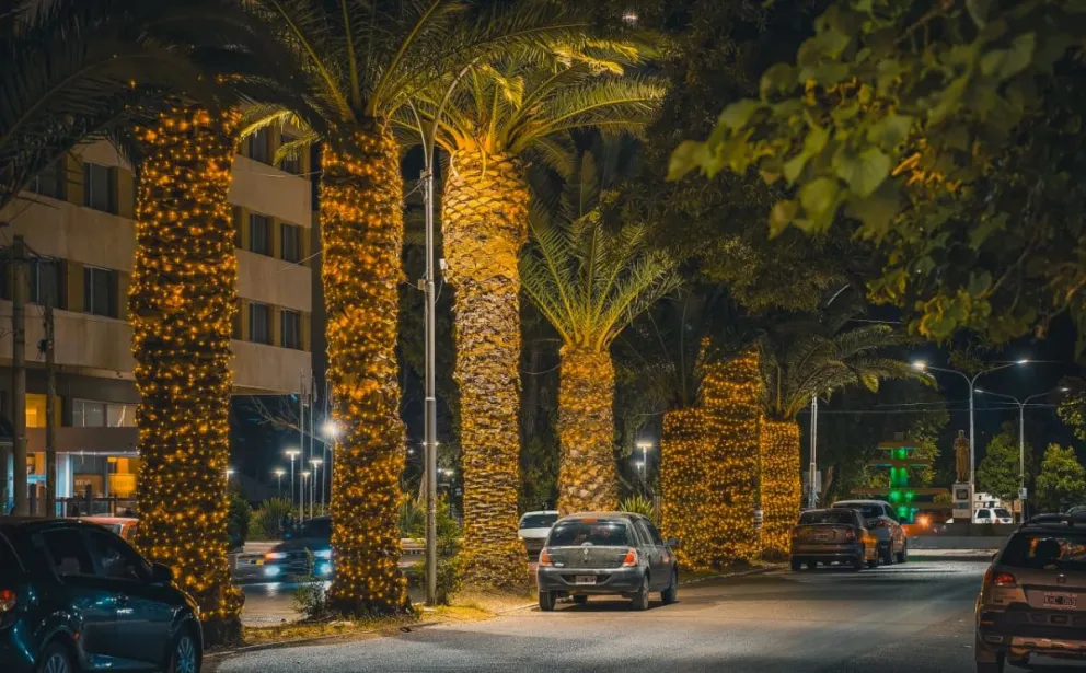 Así luce la imagen ganadora (Bartolo Esteban Cayunao).