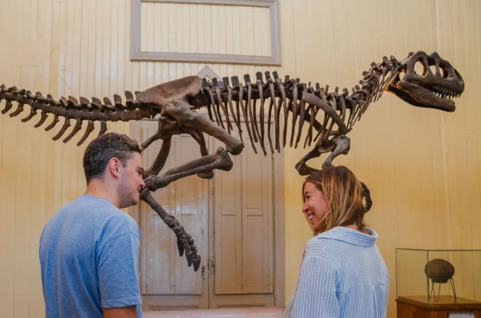 Parte de la muestra. Foto Carlos Aguilar/Informativo Hoy.