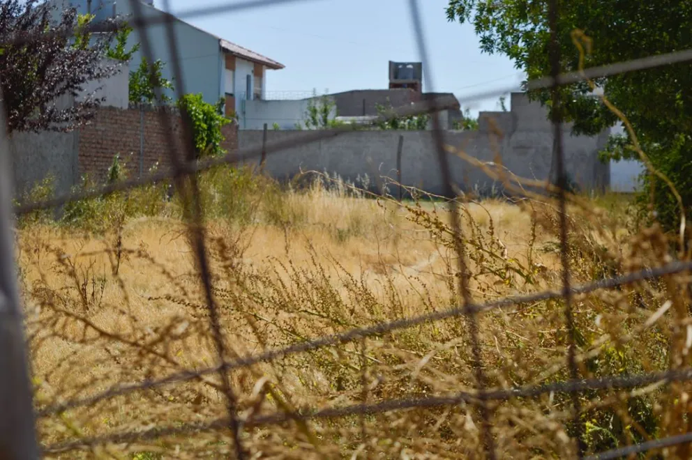 Desde hace más desde hace más de dos años vienen realizando reclamos. Foto: NoticiasNet