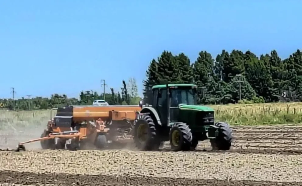 En pleno sembrado el mes pasado. Foto gentileza.