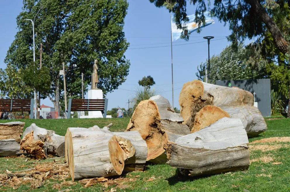 La ordenanza llevaba 22 años sin actualización. Foto: NoticiasNet (archivo)