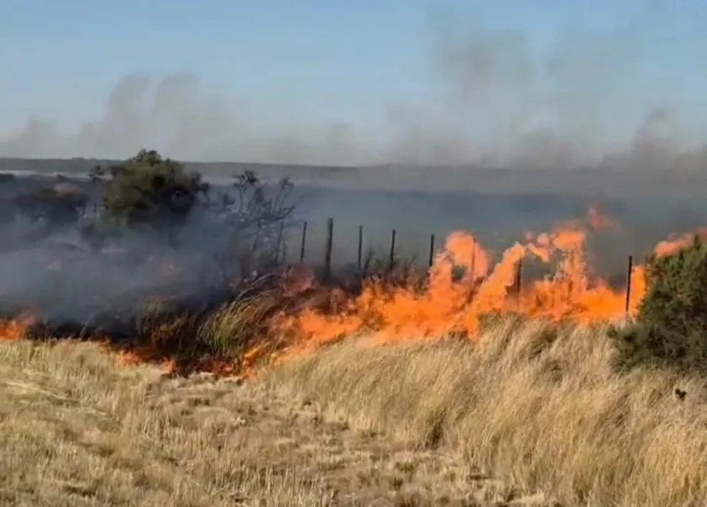 Imagen captada por un automovilista sobre la ruta, a metros del incendio. 