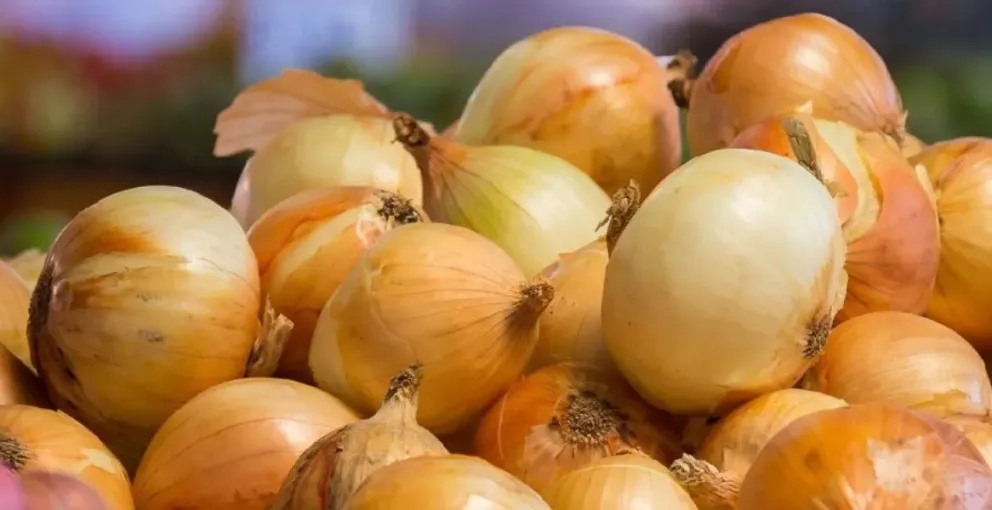 El mercado de la cebolla en un momento de incertidumbre total. 