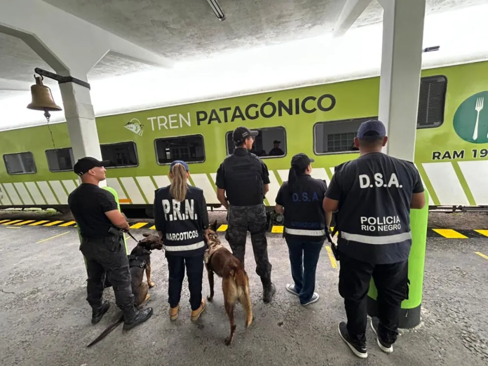 Cuerpo de Canes con fuertes controles en la zona del tren. 