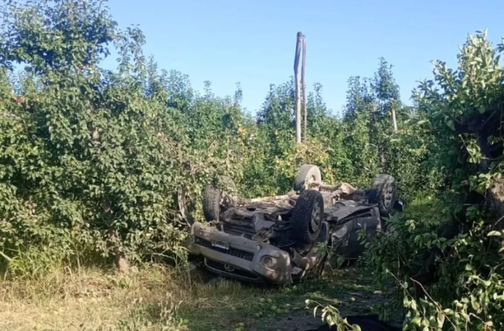 La camioneta terminó en una plantación de peras. Foto 7 en punto.