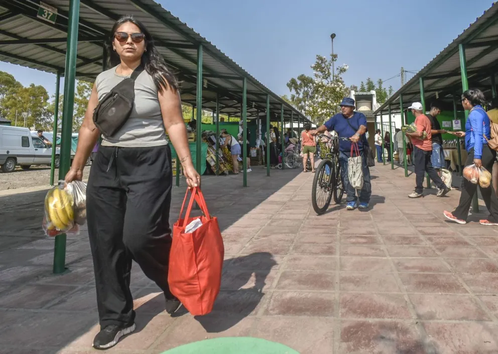 Un recorrido por las góndolas ambulantes reveló el mapa de precios y las escasas excepciones producidas en el valle. Foto: Archivo de NoticiasNet.