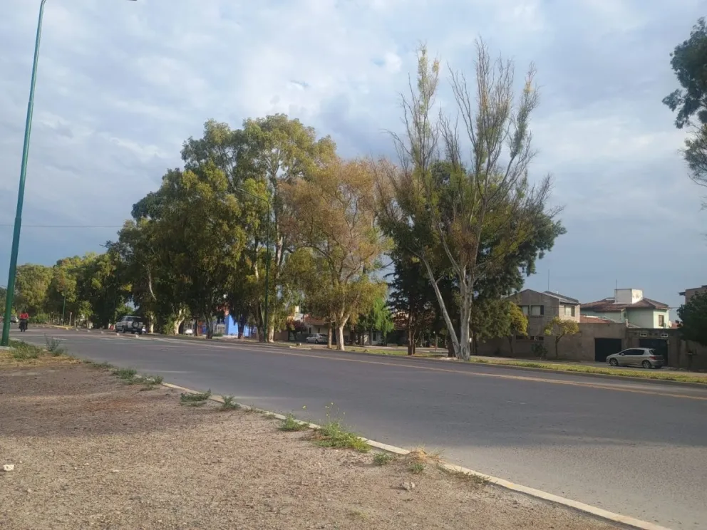 Trabajó Criminalística por varios minutos. Foto Vanesa Schwemmler.