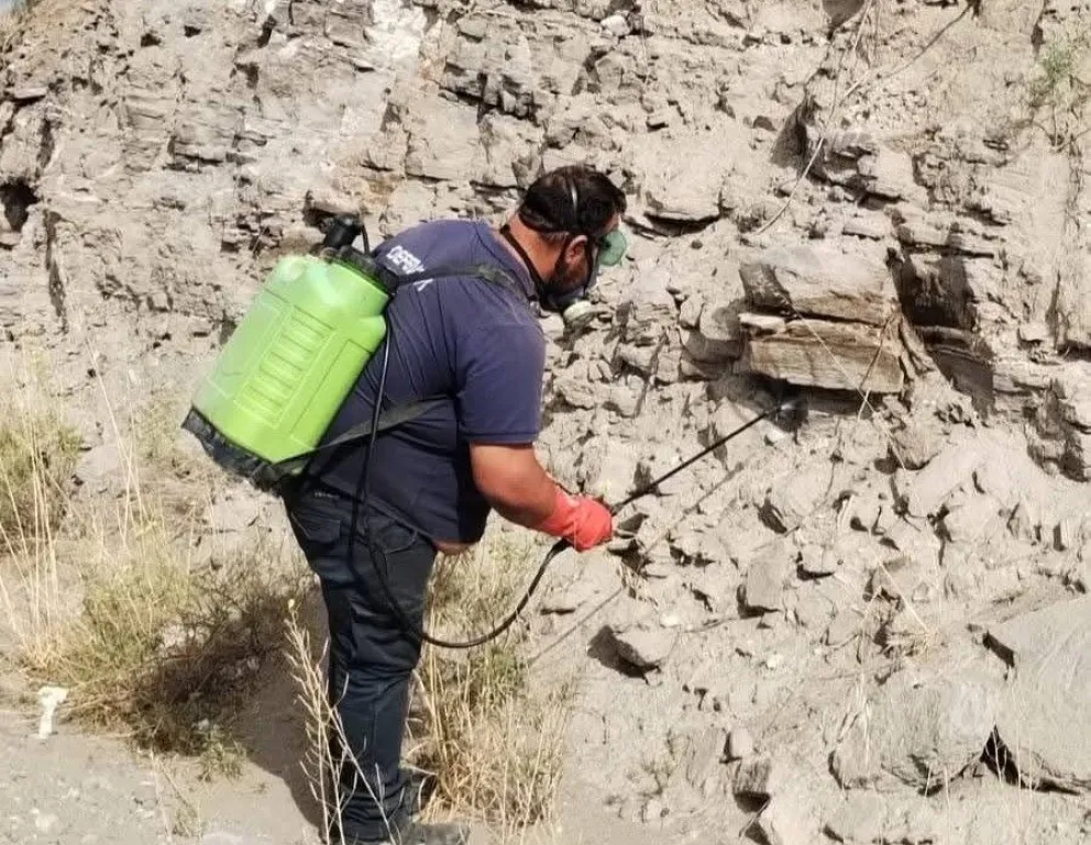 El personal municipal trabajando en el lugar. 