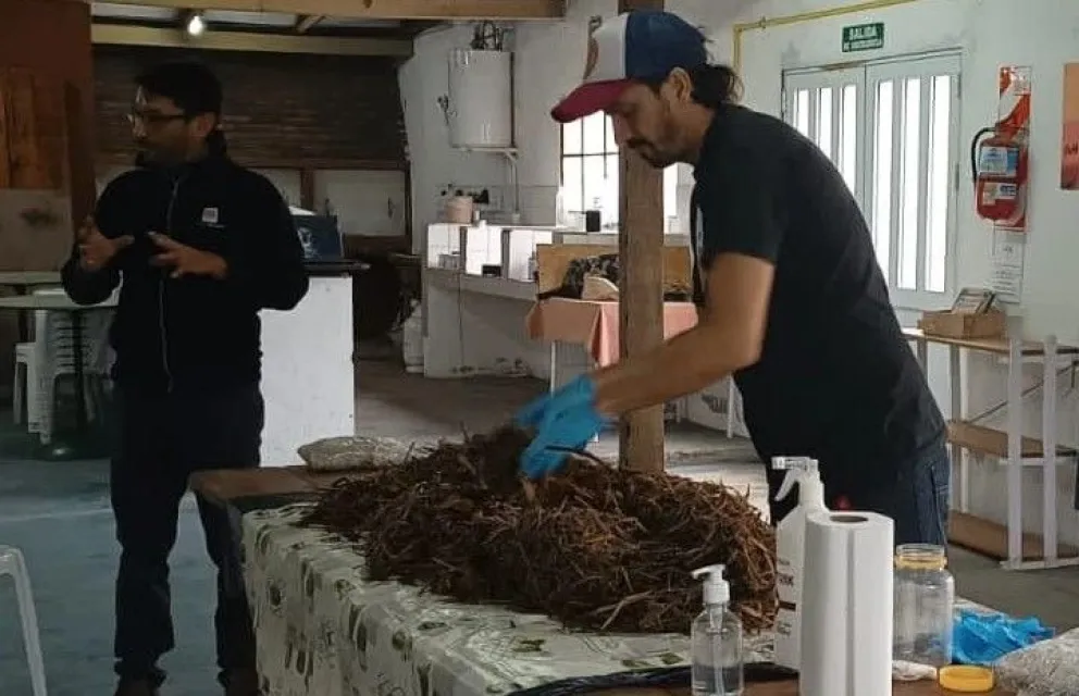 Enrique Tello en una jornada de producción y capacitación. 