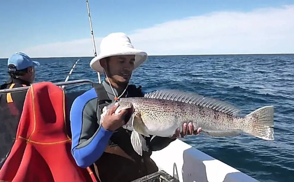 Lindos ejemplares se capturan y un gomón lleno.