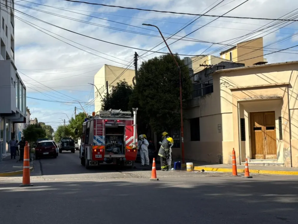 Bomberos de Patagones trabajaron en la zona. 