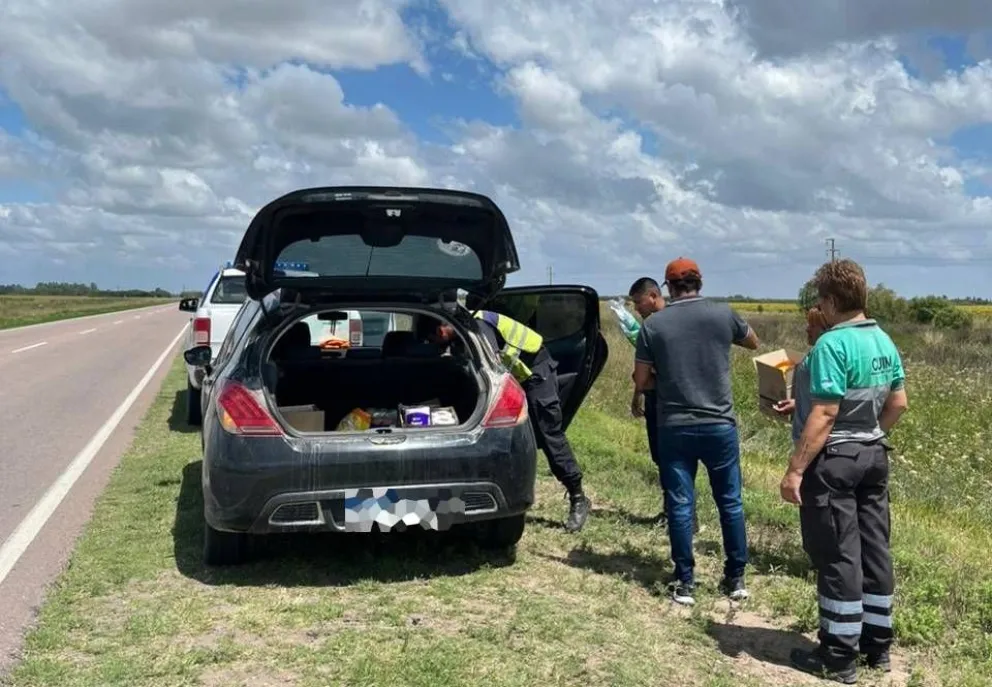 El personal policial y municipal en plena tarea. 