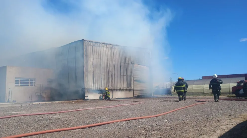 El hecho ocurrió el jueves de la semana pasada. 