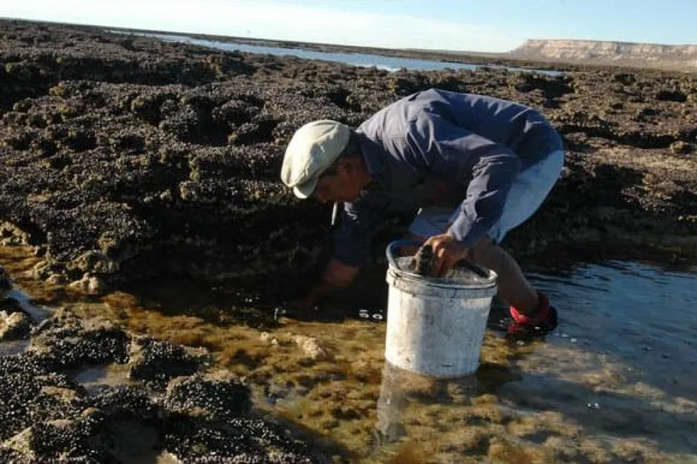 El oficio que nació de una herencia gallega y que se transmite de generación en generación.