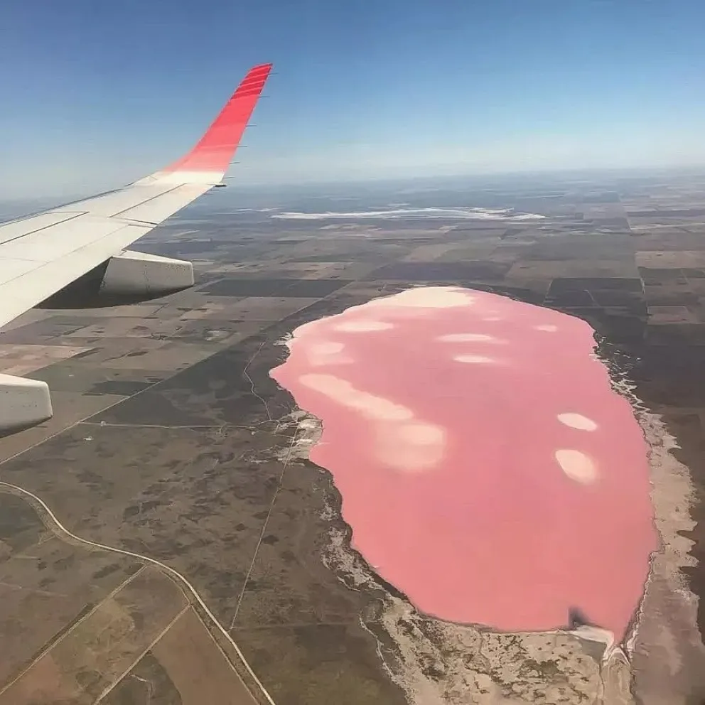 A la tradicional salina ubicada junto a Cardenal Cagliero.