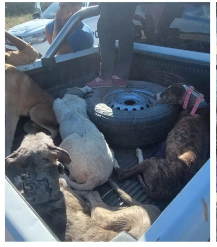 Intervino el Ministerio de Desarrollo Agrario y la Ayudante Fiscal de Patagones.