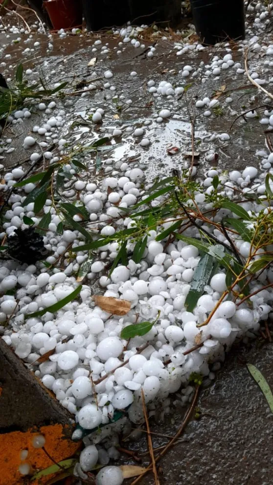 Abundante lluvia en cortos períodos. Foto: Gentileza