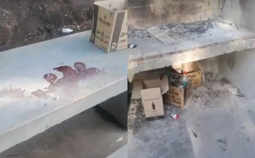 Su mensaje despertó el debate sobre el cuidado de los espacios públicos. Foto: captura de video.