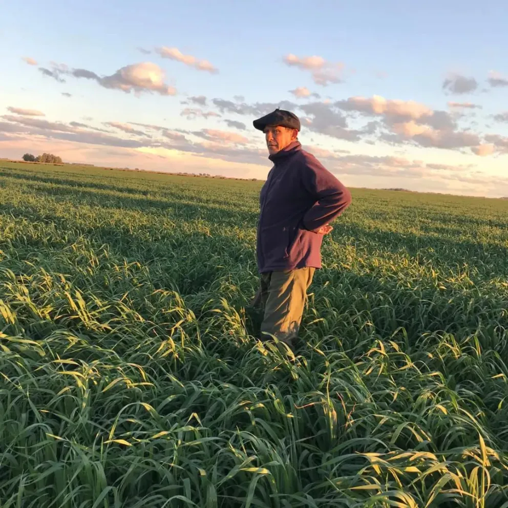 Tiburcio Imaz y sus secretos en la producción ganadera. Fotos Pastoreo Racional Imaz - Ganadería de Autor.
